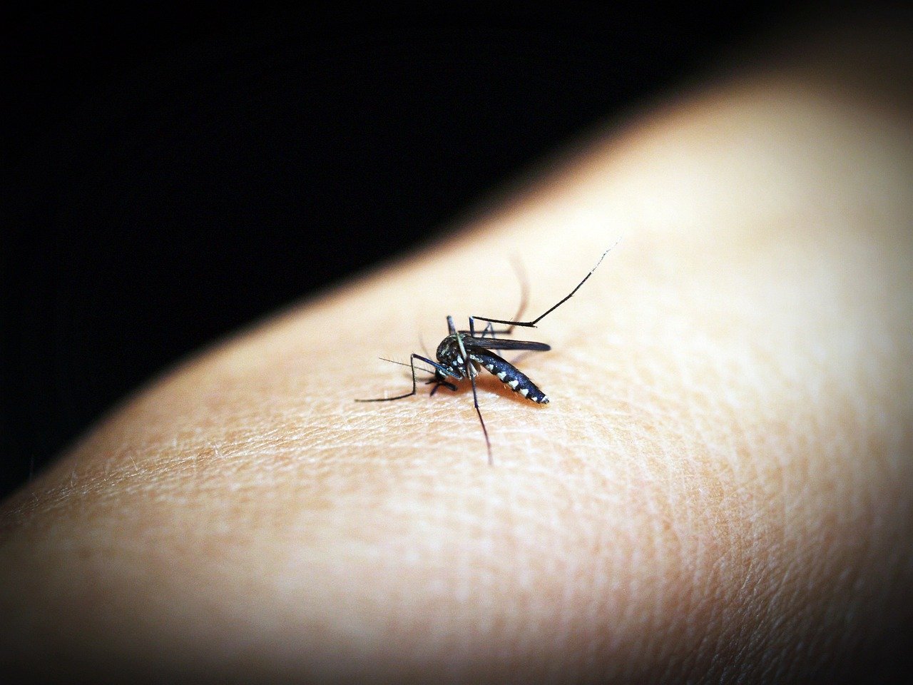 Brasil registra mais de 1 mil mortes por dengue em 2024
